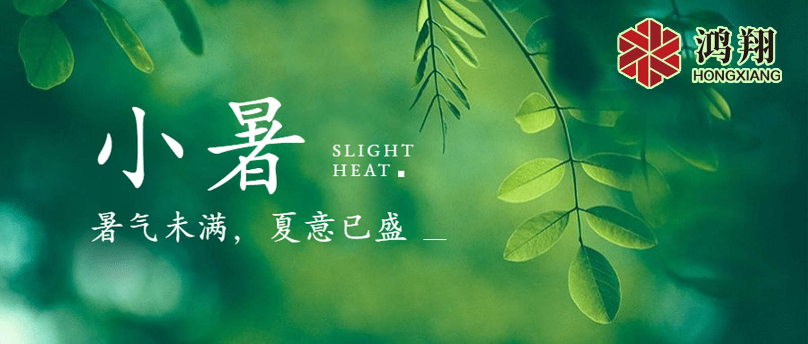 小暑| 標(biāo)志著夏季的正式開始,也是一年中最熱的時候之一